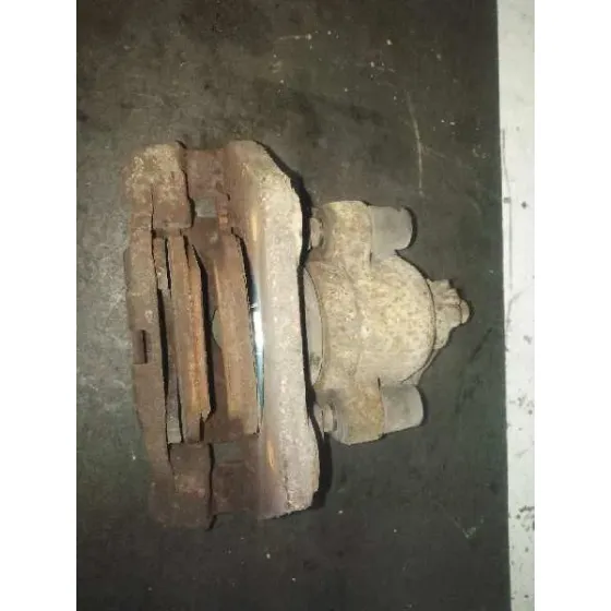 Pinza Freno Trasera Izquierda para Bmw X5 (E53)