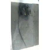 Cerradura Puerta Delantera Derecha para Skoda Octavia Berlina (1U2)