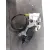 Cerradura Puerta Trasera Derecha para Toyota Aygo (Kgb/Wnb)
