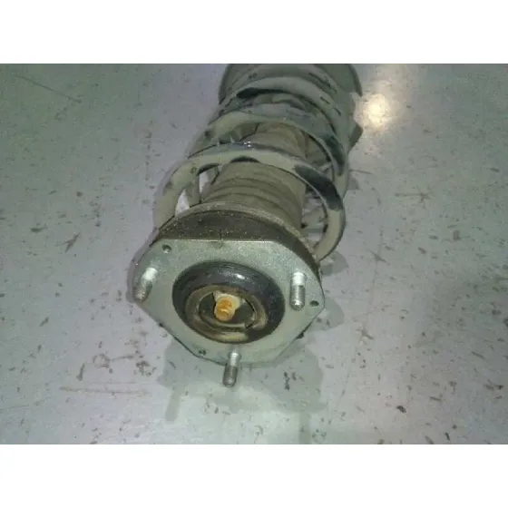 Amortiguador Delantero Derecho para Ford Fiesta (Cb1)