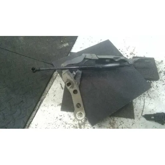Bisagra Capot para Bmw Serie 3 Berlina (E46)