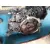 Caja Cambios para Hyundai Getz (Tb)