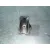 Mando Luces para Volkswagen Polo (9N3)
