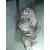 Pinza Freno Trasera Derecha para Volkswagen Tiguan (5N2)