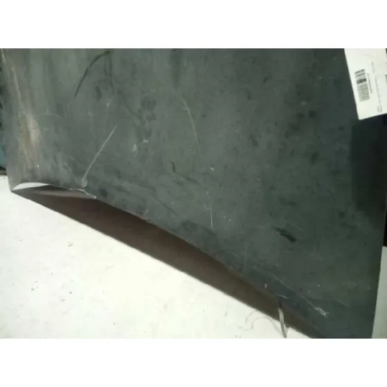 Capot para Renault Vel Satis (Bj0)