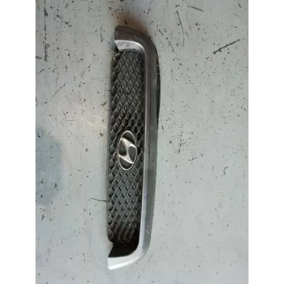 Rejilla Delantera para Hyundai Santa Fe (Sm)