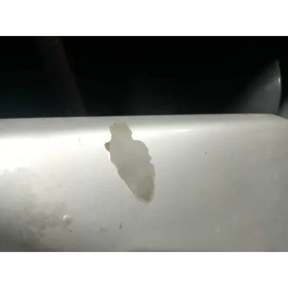 Capot para Nissan Primera Berlina (P12)