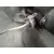 Elevalunas Delantero Izquierdo para Renault Kangoo