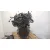 Motor Completo para Toyota Yaris