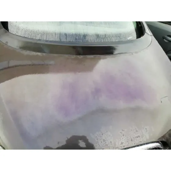 Capot para Seat Toledo (5P2)