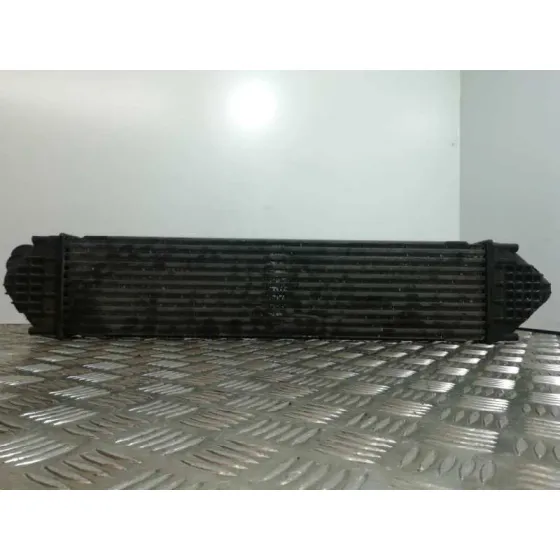 Intercooler para Ford S-Max (Ca1)