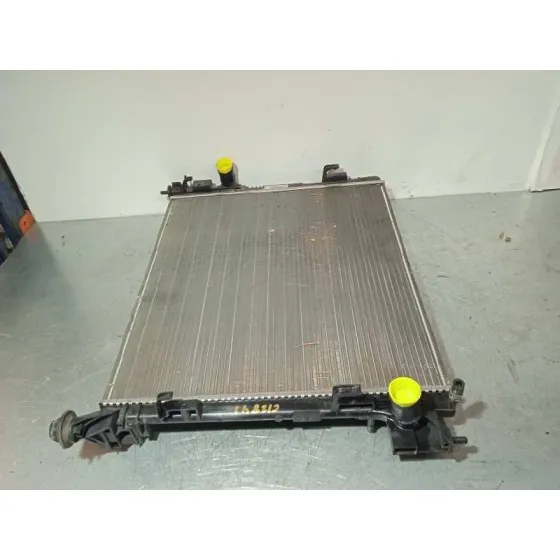 Radiador Agua para Renault Kadjar