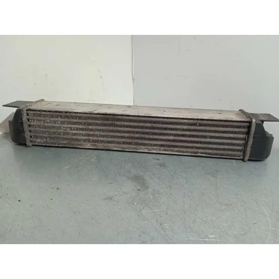 Intercooler para Bmw Serie 5 Berlina (E39)