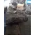 Caja Cambios para Suzuki Liana Rh (Er)
