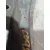 Brazo Suspension Inferior Delantero Derecho para Renault Laguna Iii