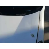 Capot para Fiat Fiorino