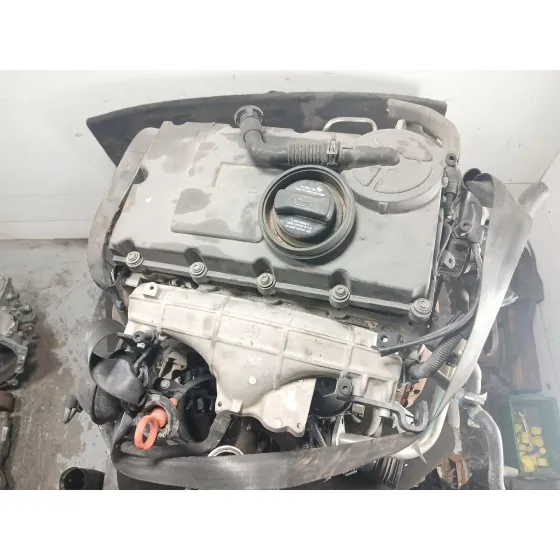 Despiece Motor para Seat Leon (1P1)