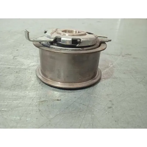 Tensor Correa Auxiliar para Volkswagen Golf Vi (5K1)