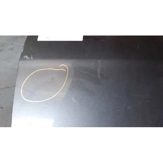 Puerta Delantera Izquierda para Fiat Bravo (198)