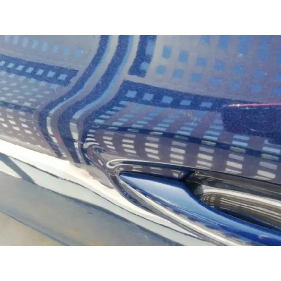 Puerta Trasera Izquierda para Citroën C4 Picasso