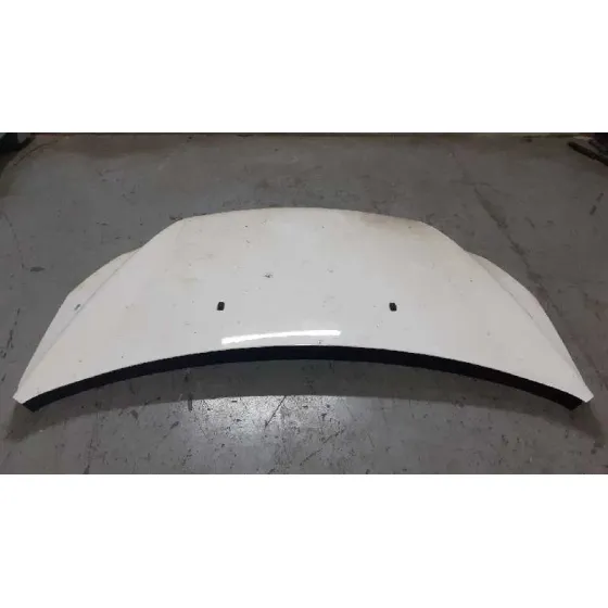 Capot para Ford Focus Lim. (Cb4)