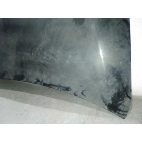 Capot para Ssangyong Rodius