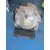 Diferencial Trasero para Ssangyong Rodius