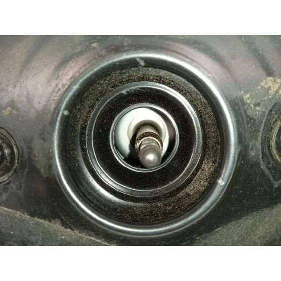 Servofreno para Ssangyong Rodius