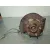 Mangueta Delantera Izquierda para Toyota Rav 4 (A3)