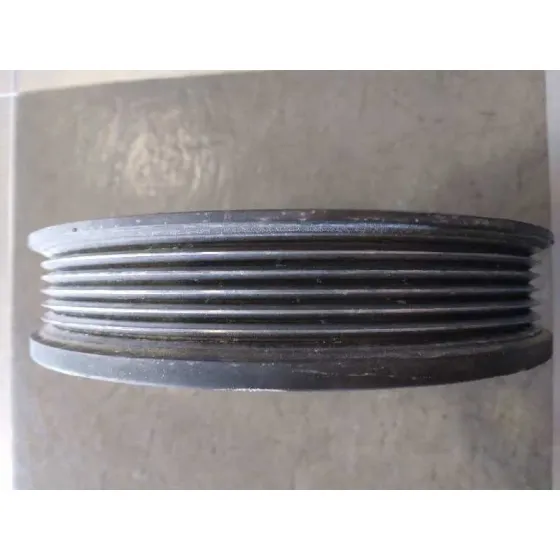 Polea Ciguenal para Ford Galaxy (Vx)