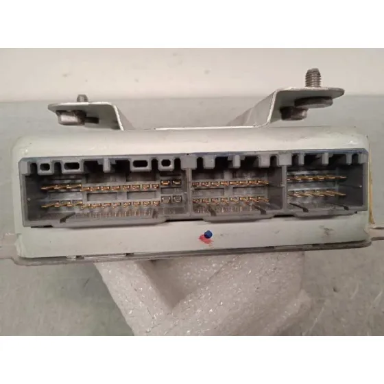 Centralita Check Control para Ssangyong Rodius