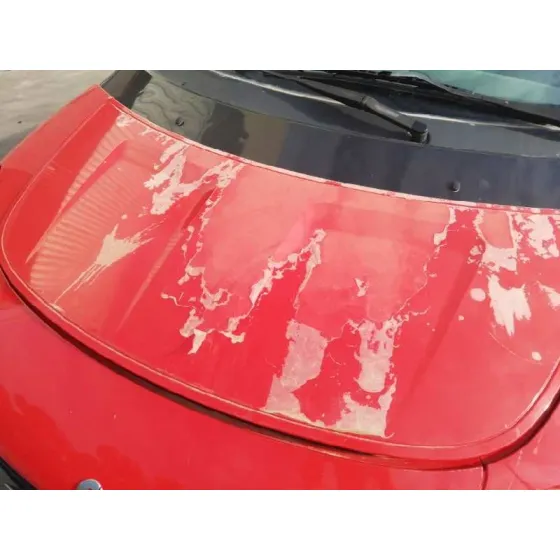 Capot para Smart Forfour