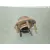 Buje para Ford Mondeo Berlina (Ge)