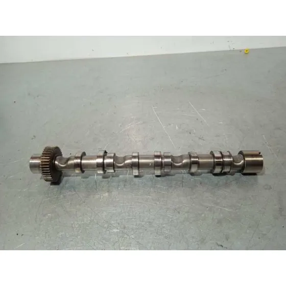 Arbol De Levas para Audi A6 Berlina (4F2)