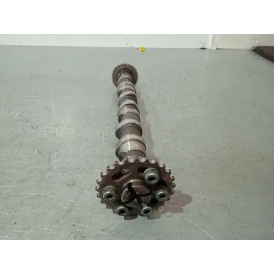 Arbol De Levas para Audi A6 Berlina (4F2)
