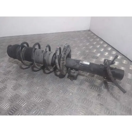 Amortiguador Delantero Izquierdo para Seat Ibiza (6P1)