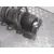Amortiguador Delantero Izquierdo para Seat Ibiza (6P1)