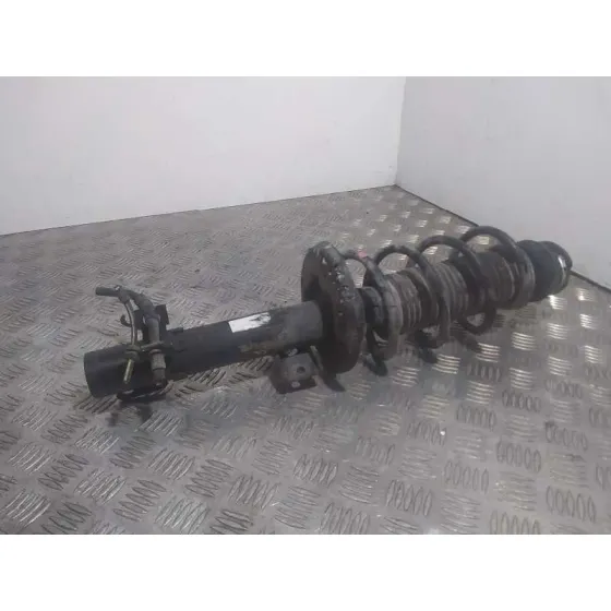 Amortiguador Delantero Izquierdo para Seat Ibiza (6P1)