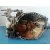 Caja Cambios para Peugeot 407 Sw