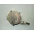 Depresor Freno / Bomba Vacio para Ssangyong Actyon