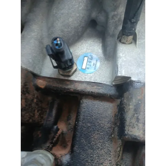 Despiece Motor para Chrysler Voyager (Rg)