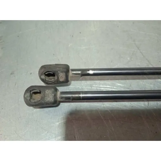 Amortiguadores Maletero / Porton para Opel Zafira B