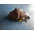 Diferencial Trasero para Bmw Serie 3 Compact (E46)