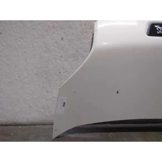 Capot para Peugeot Bipper
