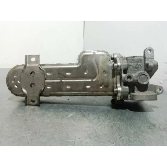 Enfriador Egr para Volkswagen Passat Berlina (3C2)