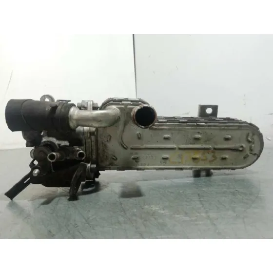 Enfriador Egr para Volkswagen Passat Berlina (3C2)