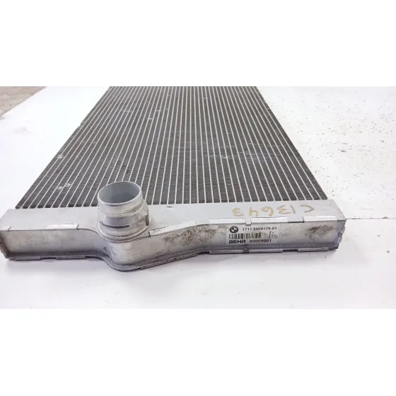 Radiador Agua para Bmw Serie 5 Lim. (F10)