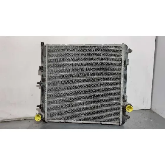 Radiador Agua para Citroën C2