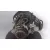 Despiece Motor para Bmw Serie 3 Berlina (E46)