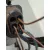 Elevalunas Delantero Izquierdo para Bmw Serie 5 Lim. (F10)